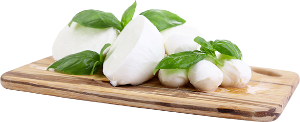 mozzarella
